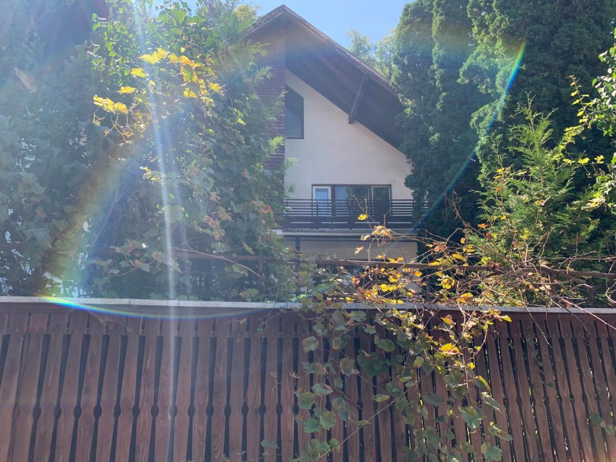 Timi Residence 브라쇼브 외부 사진