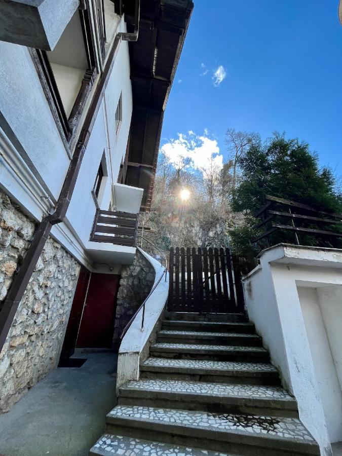 Timi Residence 브라쇼브 외부 사진